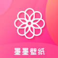 布谷加速器为什么永不了