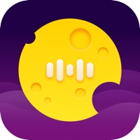 手机登录google