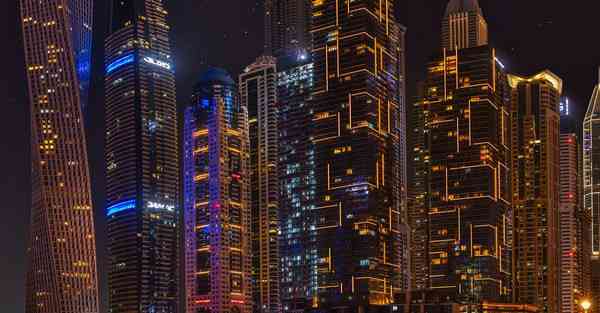 自由之门手机版apk