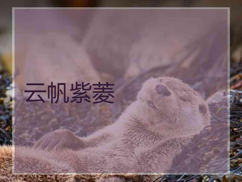 云帆紫菱