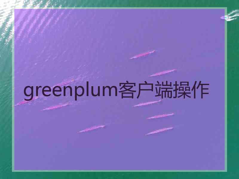 greenplum客户端操作