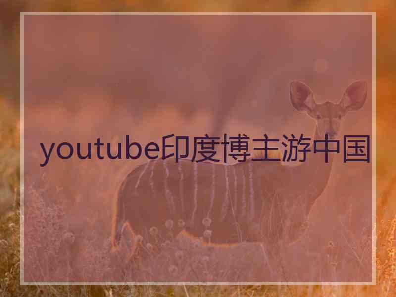 youtube印度博主游中国