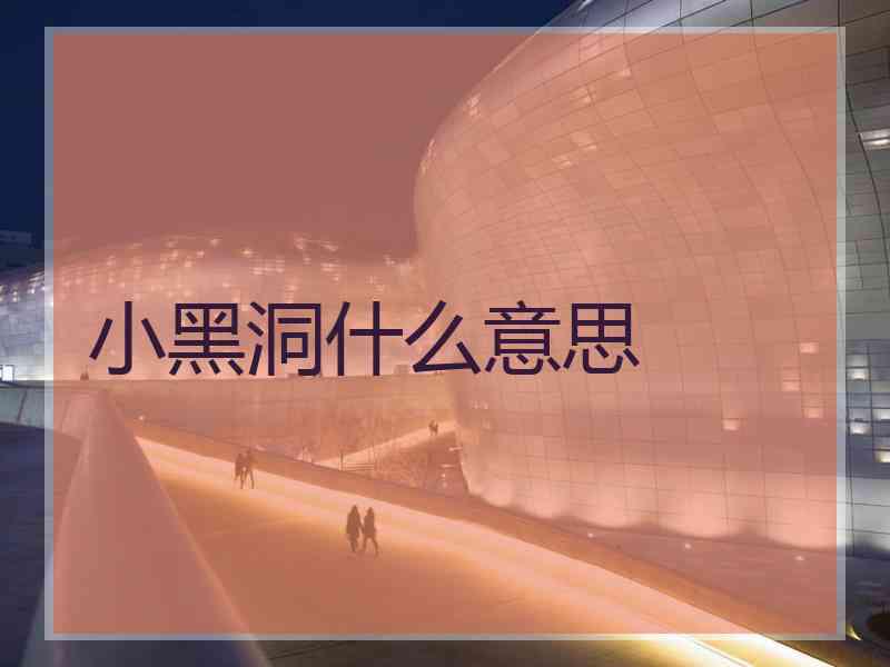 小黑洞什么意思
