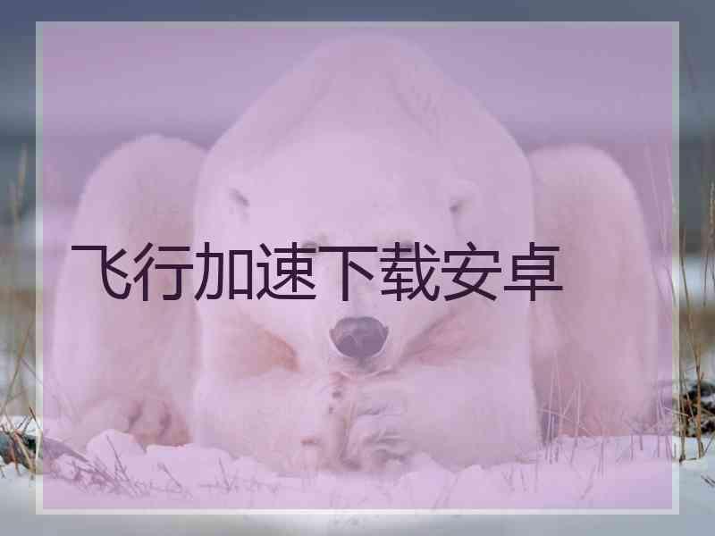 飞行加速下载安卓