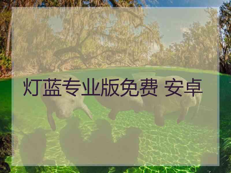 灯蓝专业版免费 安卓
