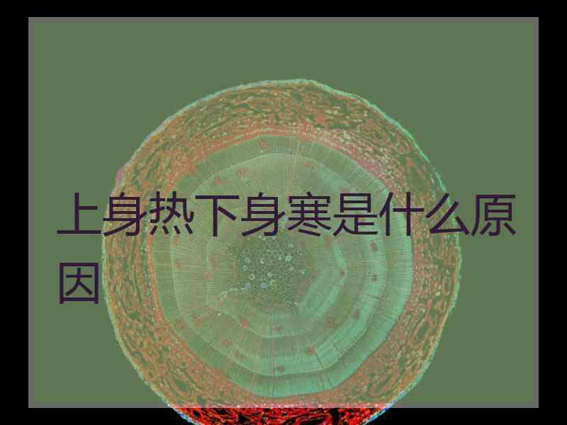 上身热下身寒是什么原因