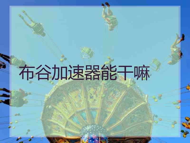 布谷加速器能干嘛
