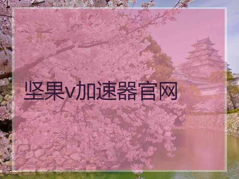 坚果v加速器官网