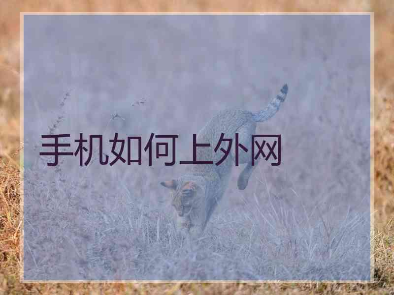 手机如何上外网