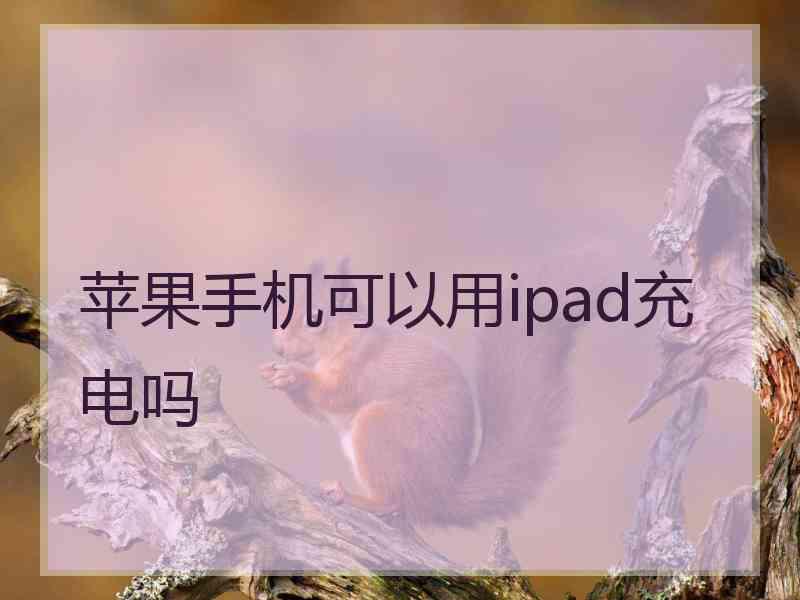 苹果手机可以用ipad充电吗
