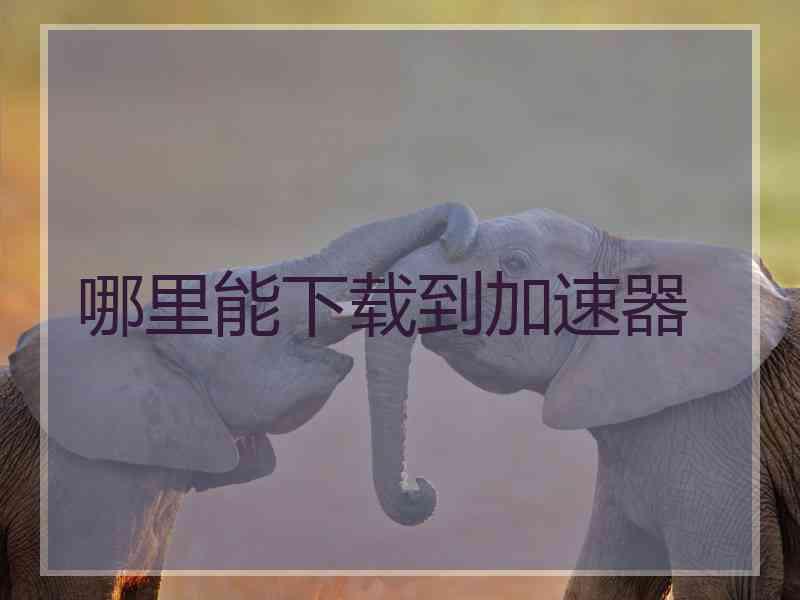 哪里能下载到加速器