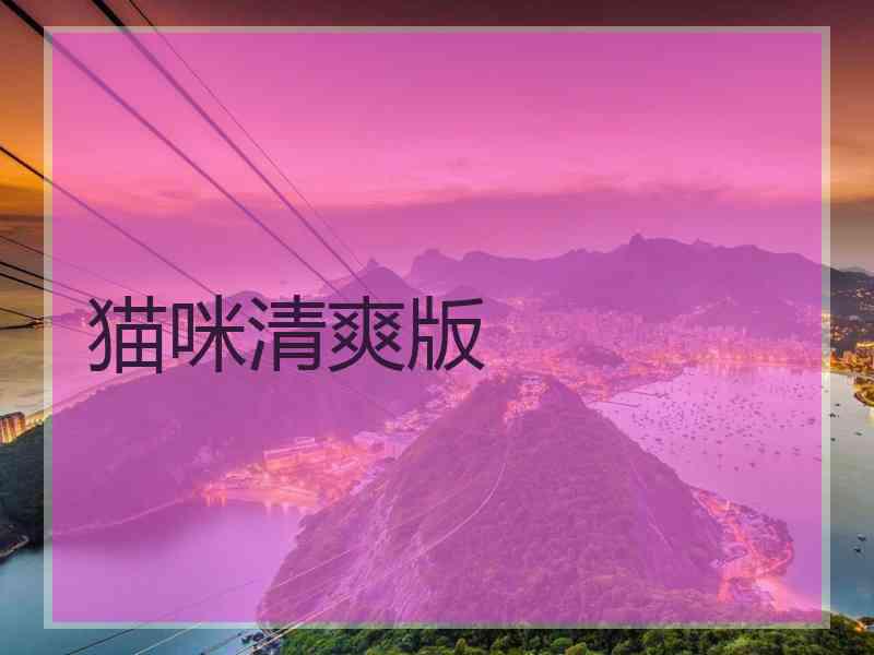 猫咪清爽版