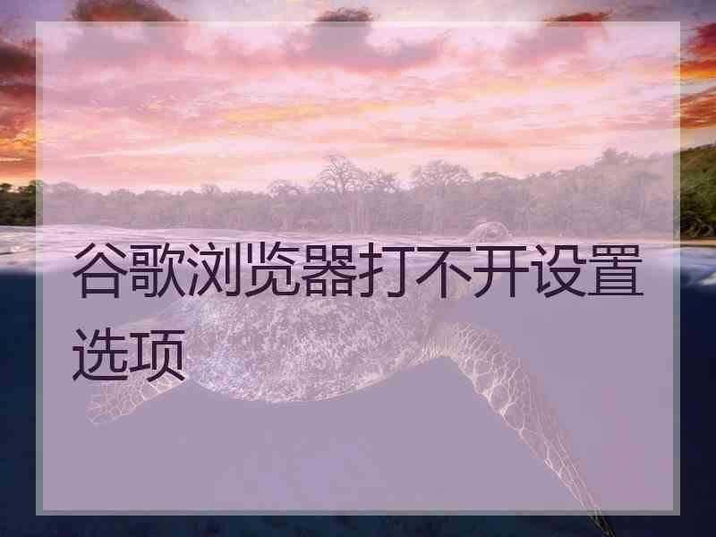 谷歌浏览器打不开设置选项