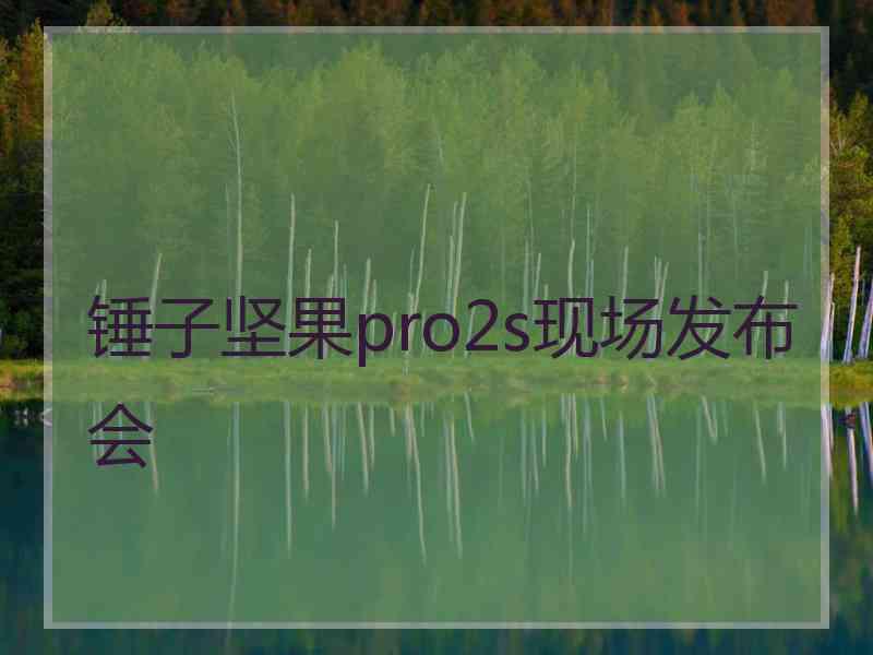 锤子坚果pro2s现场发布会