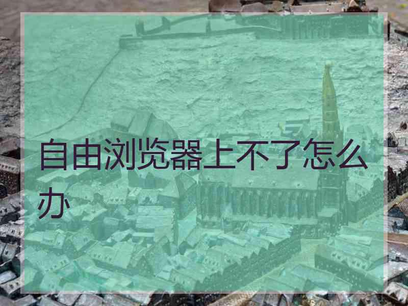 自由浏览器上不了怎么办