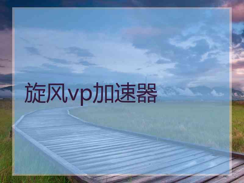 旋风vp加速器