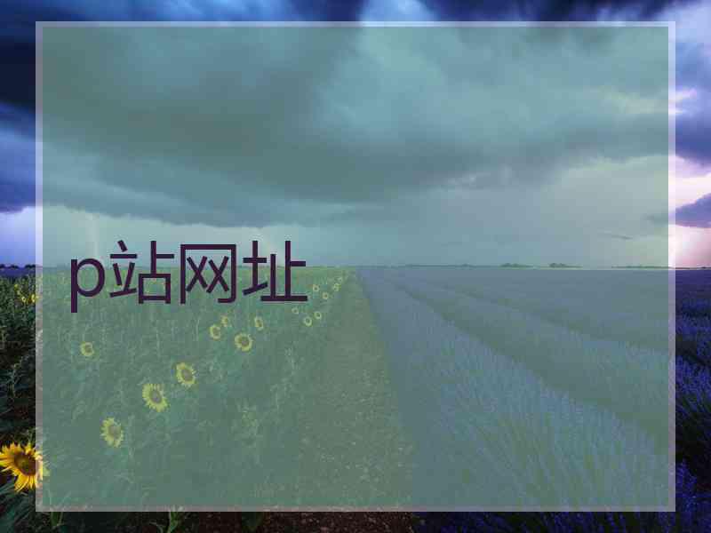 p站网址