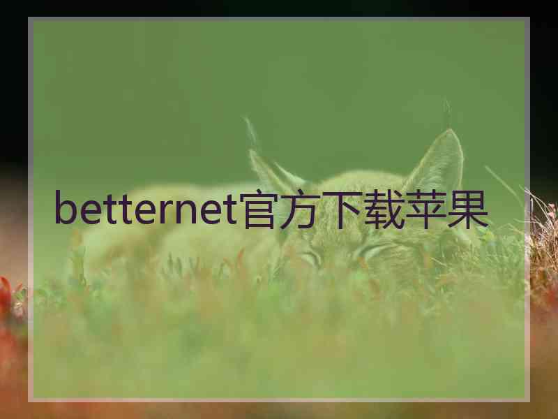 betternet官方下载苹果
