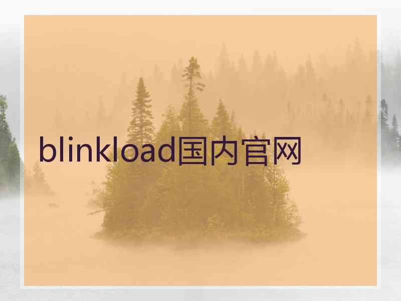 blinkload国内官网