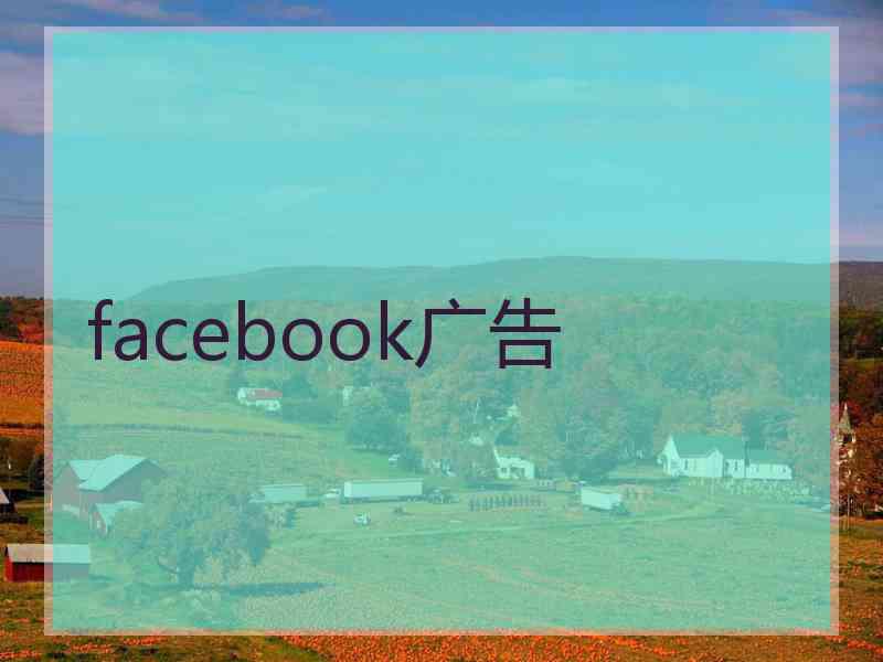 facebook广告
