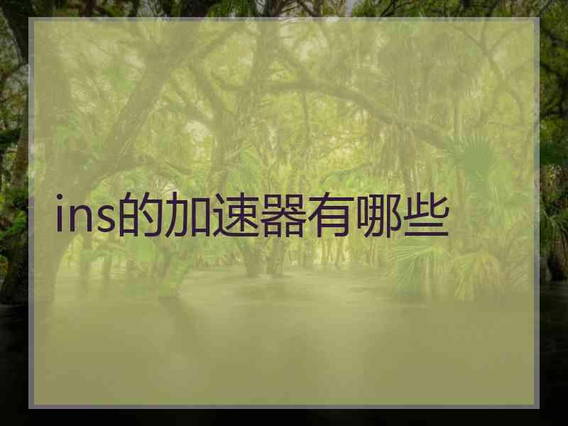 ins的加速器有哪些