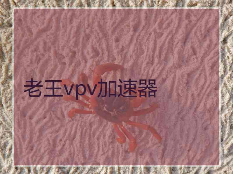 老王vpv加速器