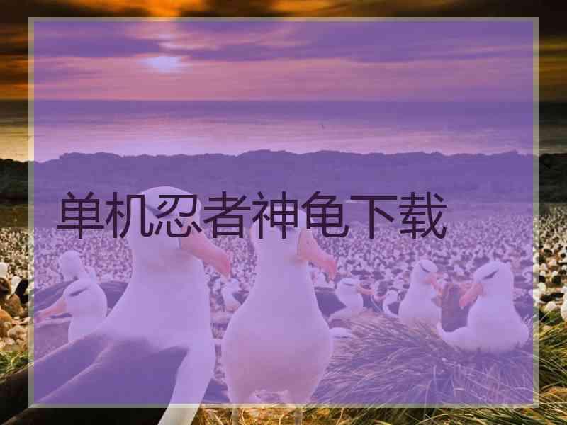 单机忍者神龟下载