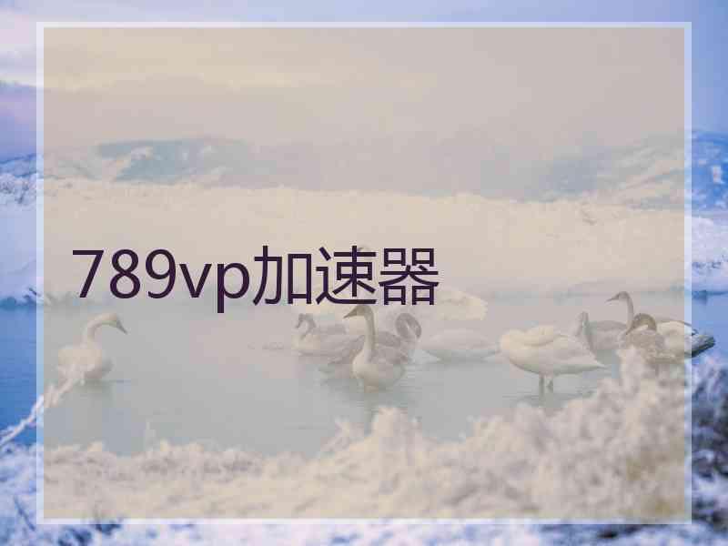 789vp加速器