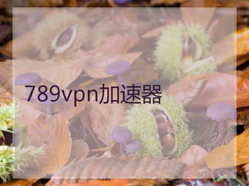 789vpn加速器
