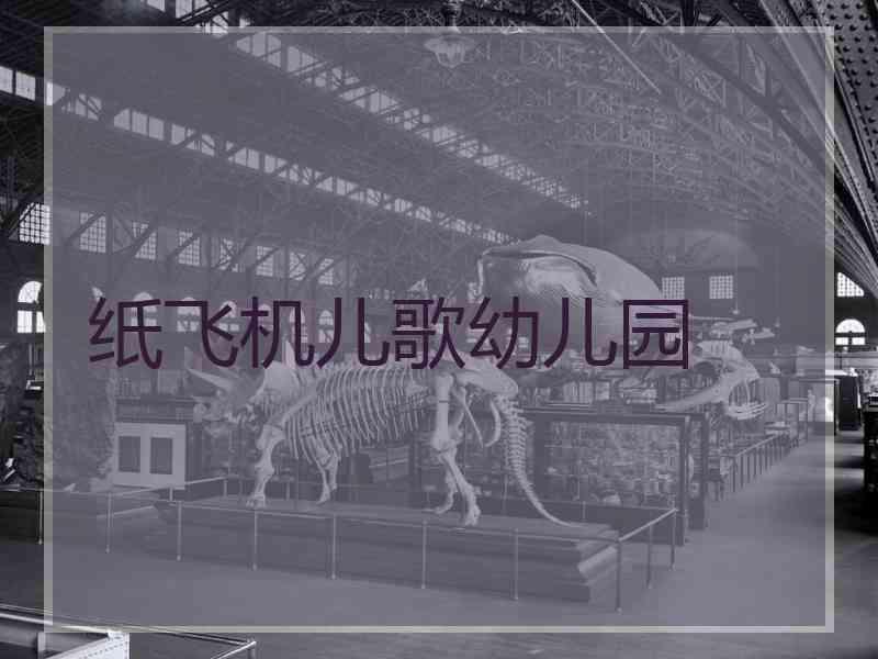 纸飞机儿歌幼儿园