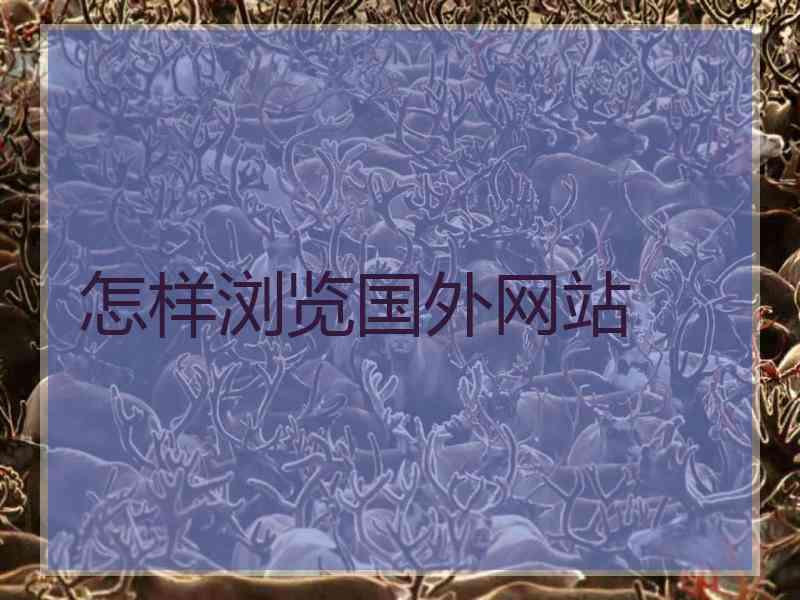 怎样浏览国外网站