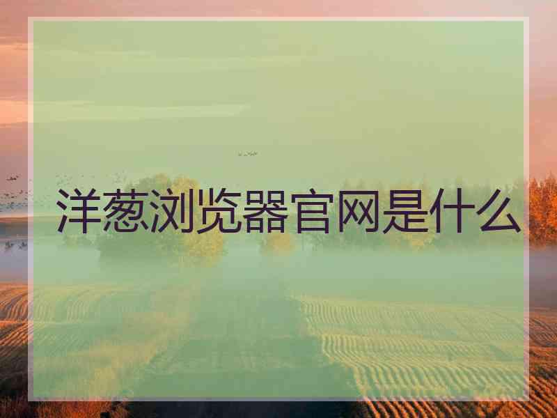 洋葱浏览器官网是什么