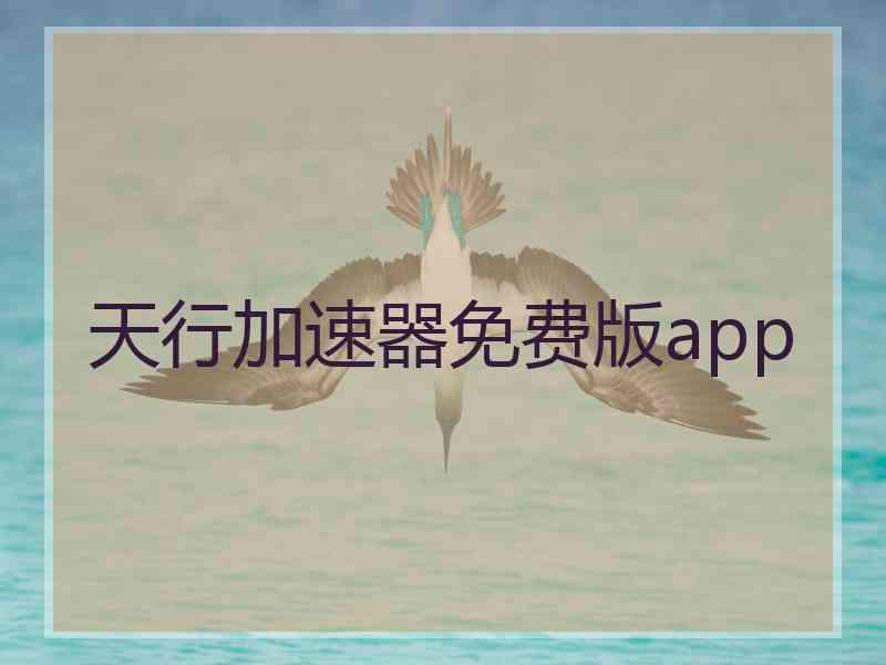 天行加速器免费版app