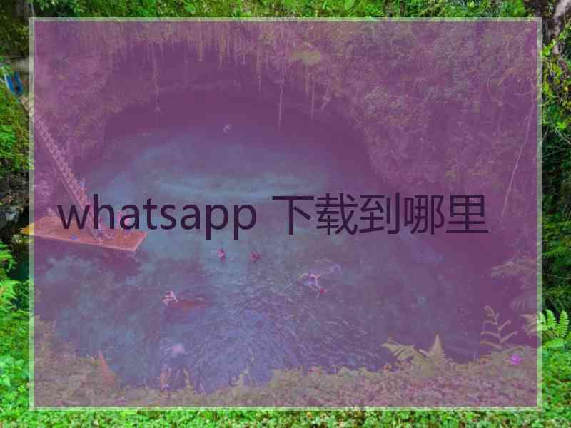 whatsapp 下载到哪里
