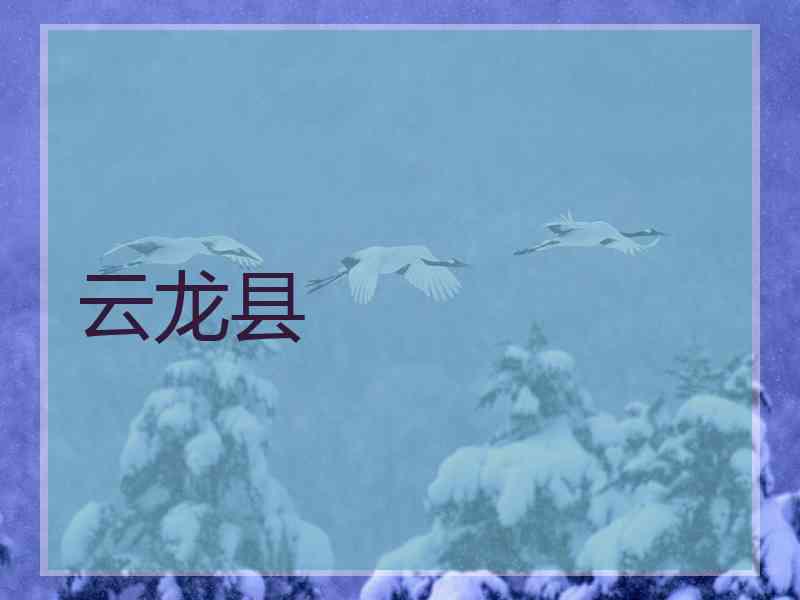 云龙县