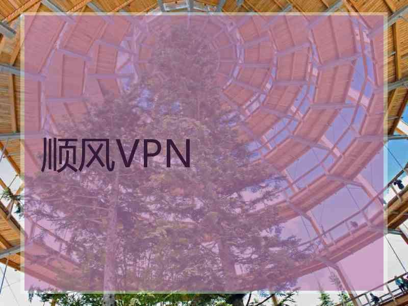 顺风VPN
