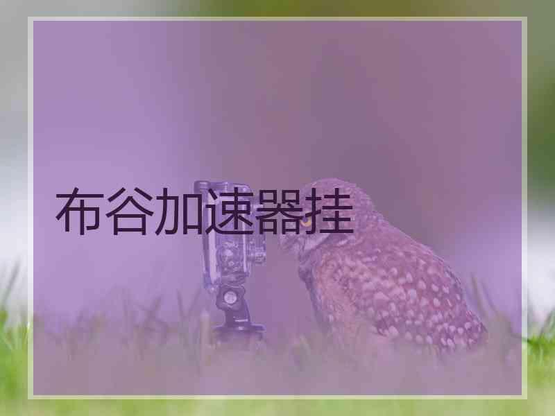 布谷加速器挂