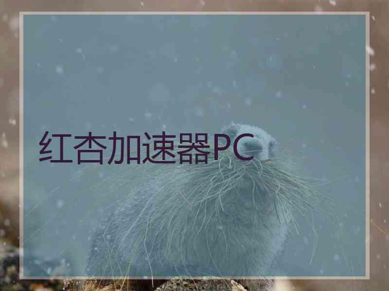 红杏加速器PC