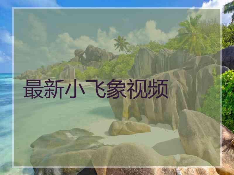 最新小飞象视频