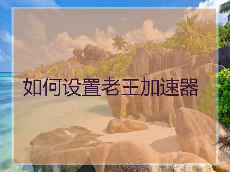 如何设置老王加速器