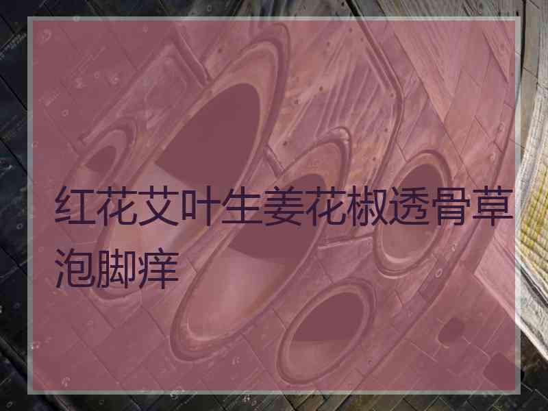 红花艾叶生姜花椒透骨草泡脚痒