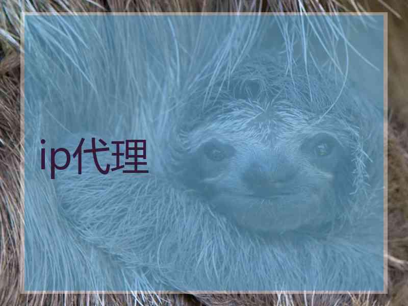 ip代理