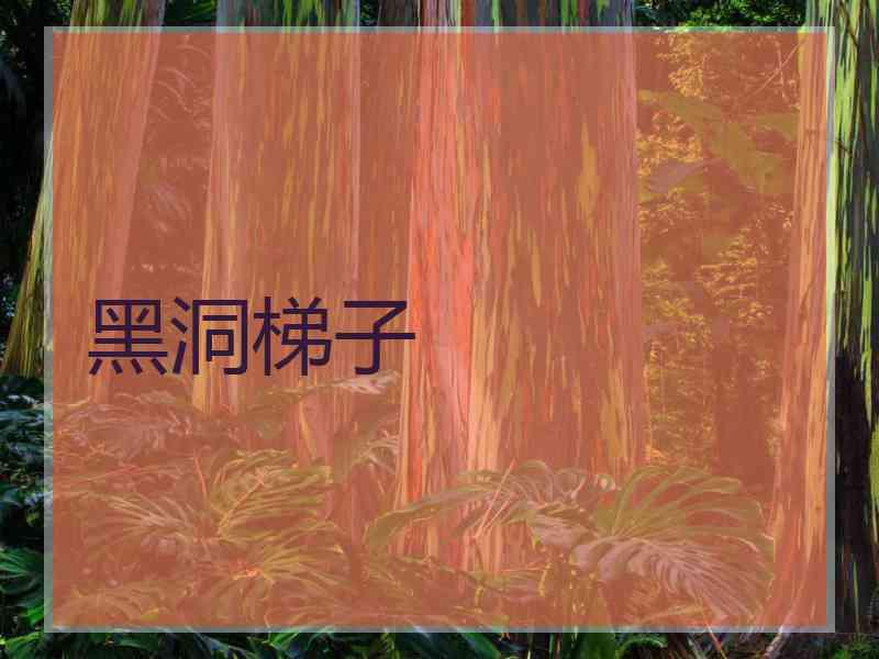 黑洞梯子