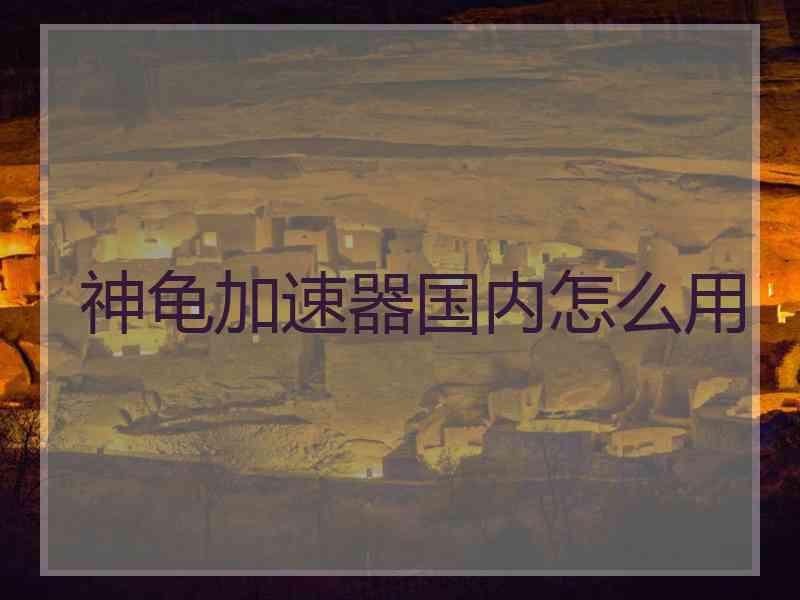 神龟加速器国内怎么用