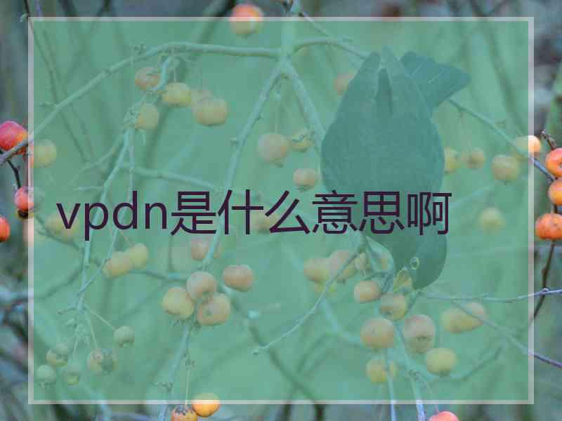 vpdn是什么意思啊
