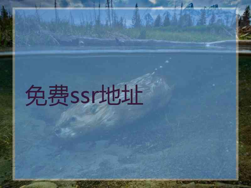 免费ssr地址