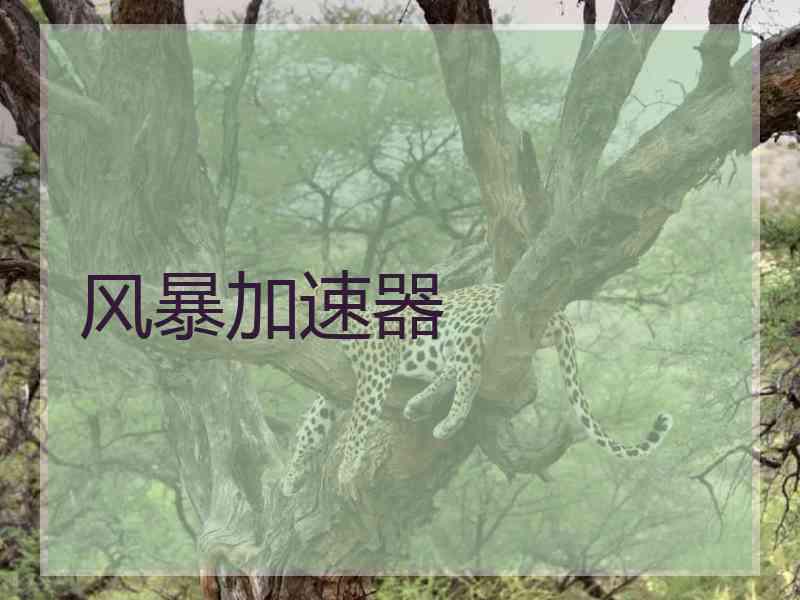 风暴加速器