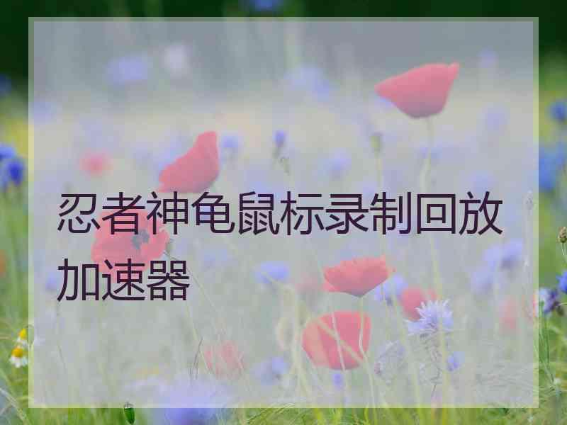 忍者神龟鼠标录制回放加速器