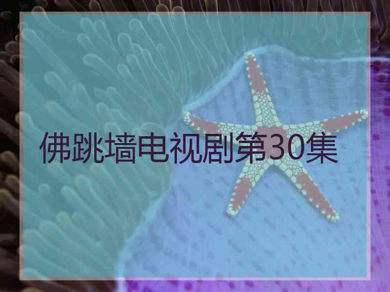 佛跳墙电视剧第30集