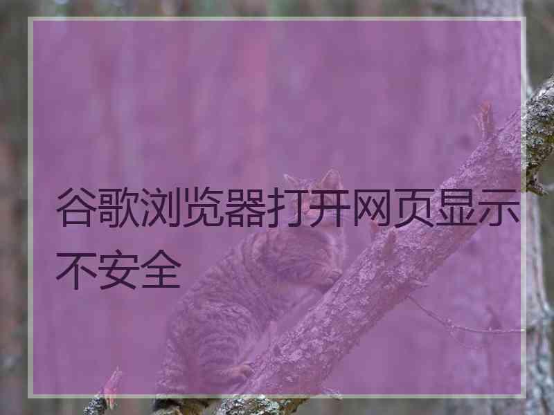 谷歌浏览器打开网页显示不安全